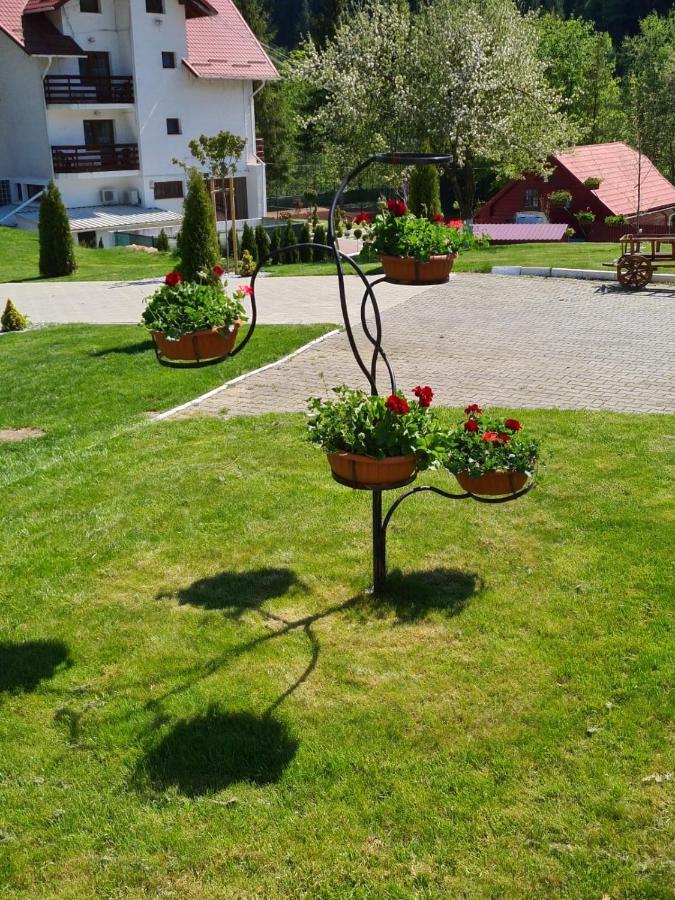 Pensiunea Andias Sucevita Εξωτερικό φωτογραφία